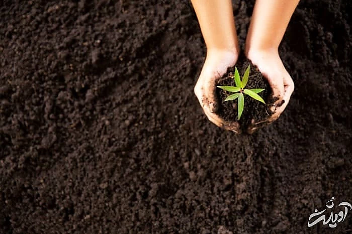 علائم خاک نامرغوب خاک نامرغوب